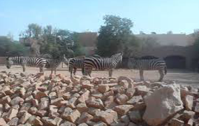 al-malaz-zoo